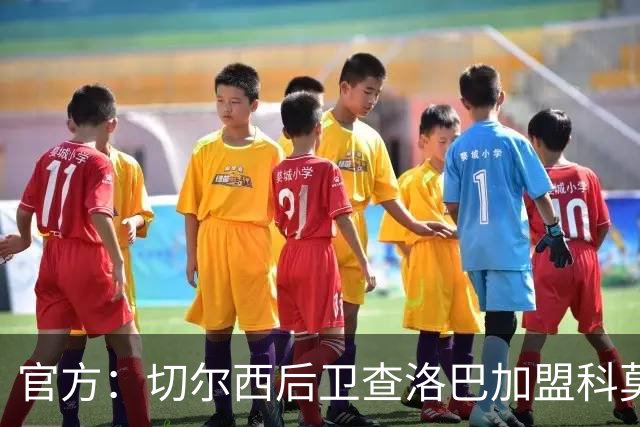 官方：切尔西后卫查洛巴加盟科莫；据悉总价为3000万镑