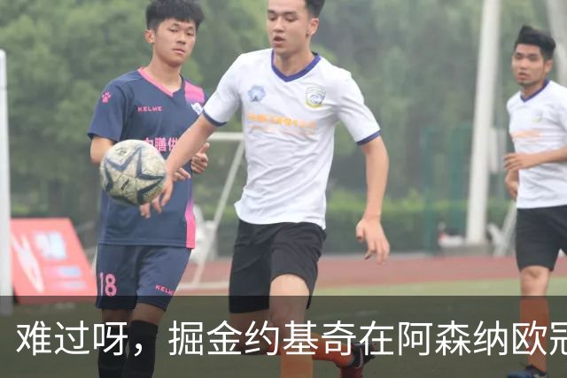 难过呀，掘金约基奇在阿森纳欧冠决赛后，加油助威的喜悦化为乌有