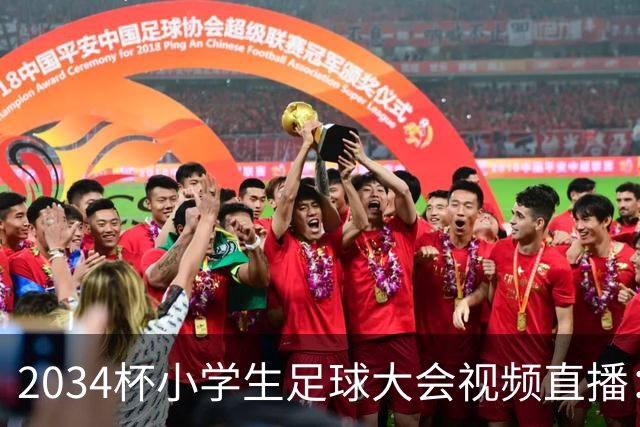 2034杯小学生足球大会视频直播：董路中国足球小将蓝队VS西藏攀峰足球俱乐部！！