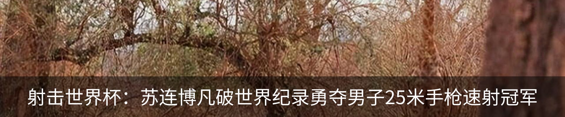 热点资讯