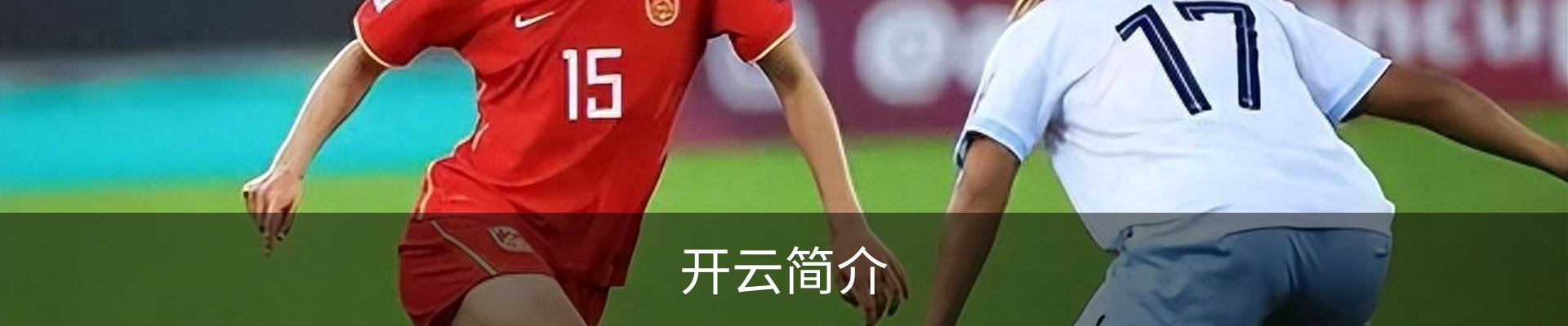 开云简介